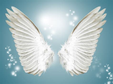 free pictures of wings|wings photo background.